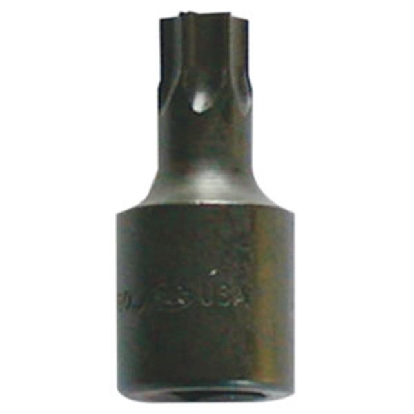 Tool Time 1/2 in. Drive Torx Socket T-55 TO2688667
